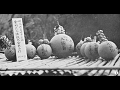 全国花火競技大会出品作品（昭和32年）