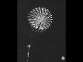 割物打揚花火（3号玉、菊先銀乱）