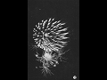 割物打揚花火（5号玉、昇曲導付）