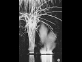 仕掛花火（特殊スターマイン）